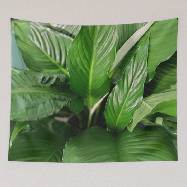 Item preview, peace lily plant designed and sold by DLAJOHN.