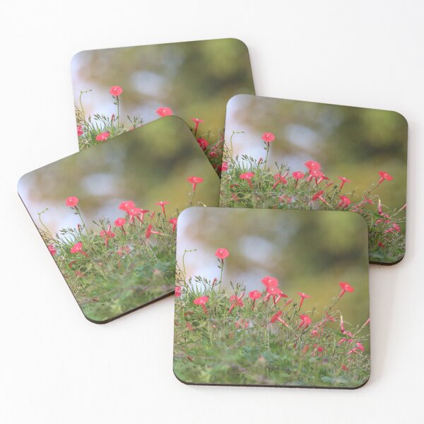 Item preview, Ipomea coccinea,red morning glory flower attract humming bird. designed and sold by KimhengFineArt.