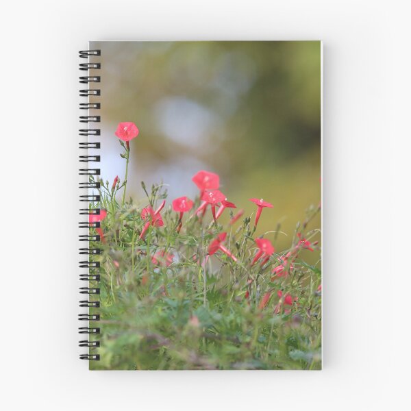 Item preview, Ipomea coccinea,red morning glory flower attract humming bird. designed and sold by KimhengFineArt.