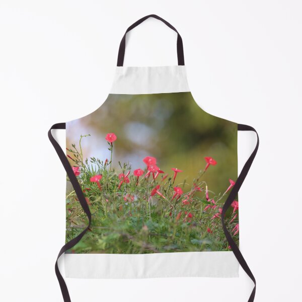 Item preview, Ipomea coccinea,red morning glory flower attract humming bird. designed and sold by KimhengFineArt.