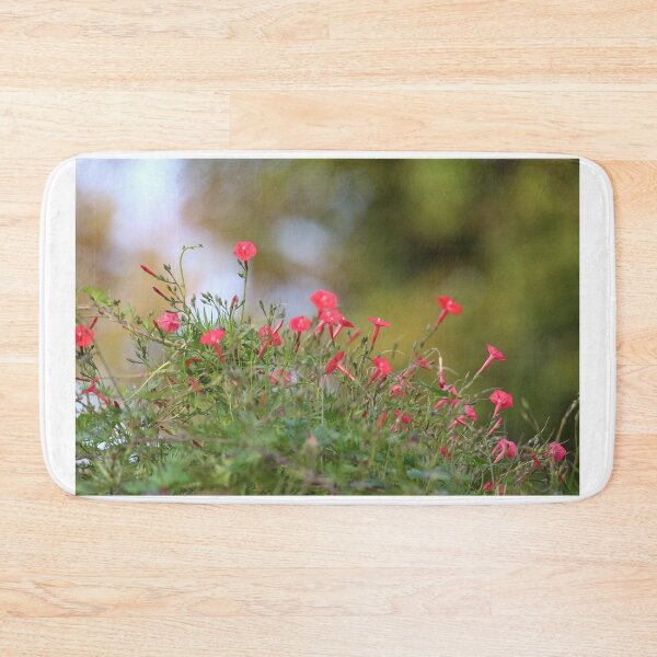 Item preview, Ipomea coccinea,red morning glory flower attract humming bird. designed and sold by KimhengFineArt.