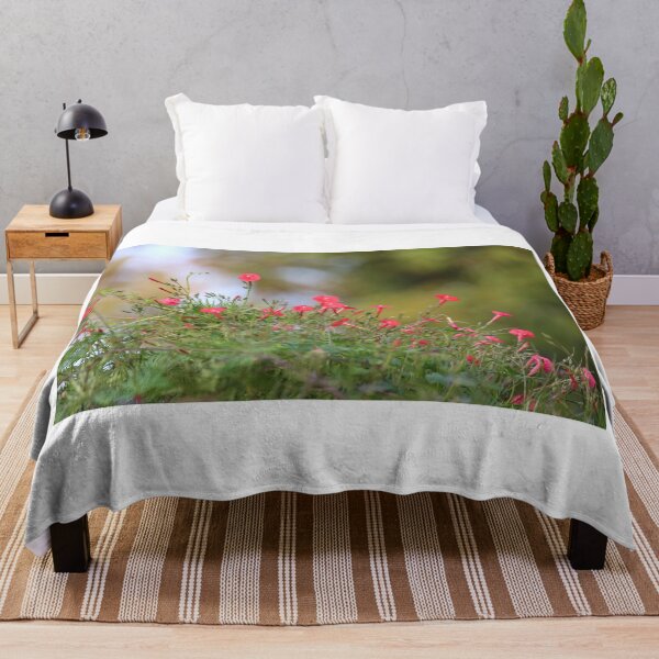 Item preview, Ipomea coccinea,red morning glory flower attract humming bird. designed and sold by KimhengFineArt.