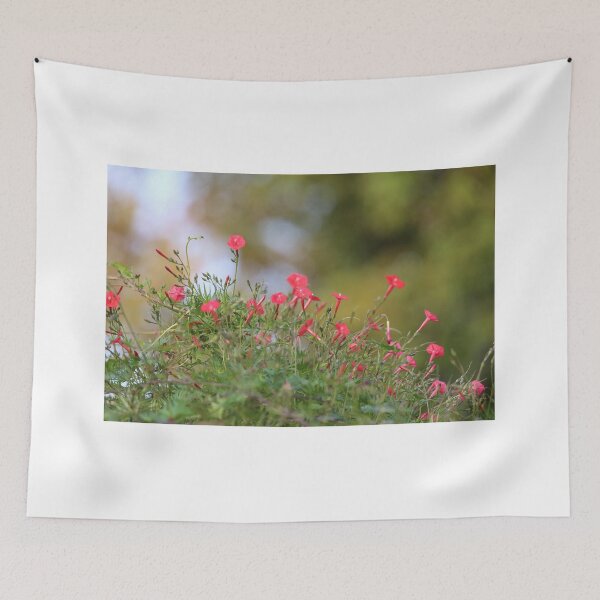 Item preview, Ipomea coccinea,red morning glory flower attract humming bird. designed and sold by KimhengFineArt.