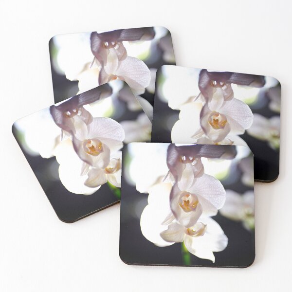 Item preview, White orchid bloom beautiful and elegant. designed and sold by KimhengFineArt.