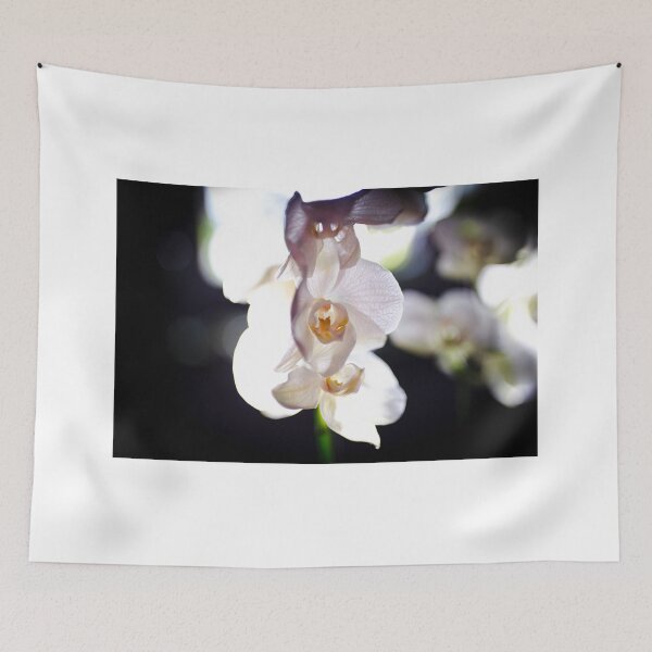Item preview, White orchid bloom beautiful and elegant. designed and sold by KimhengFineArt.