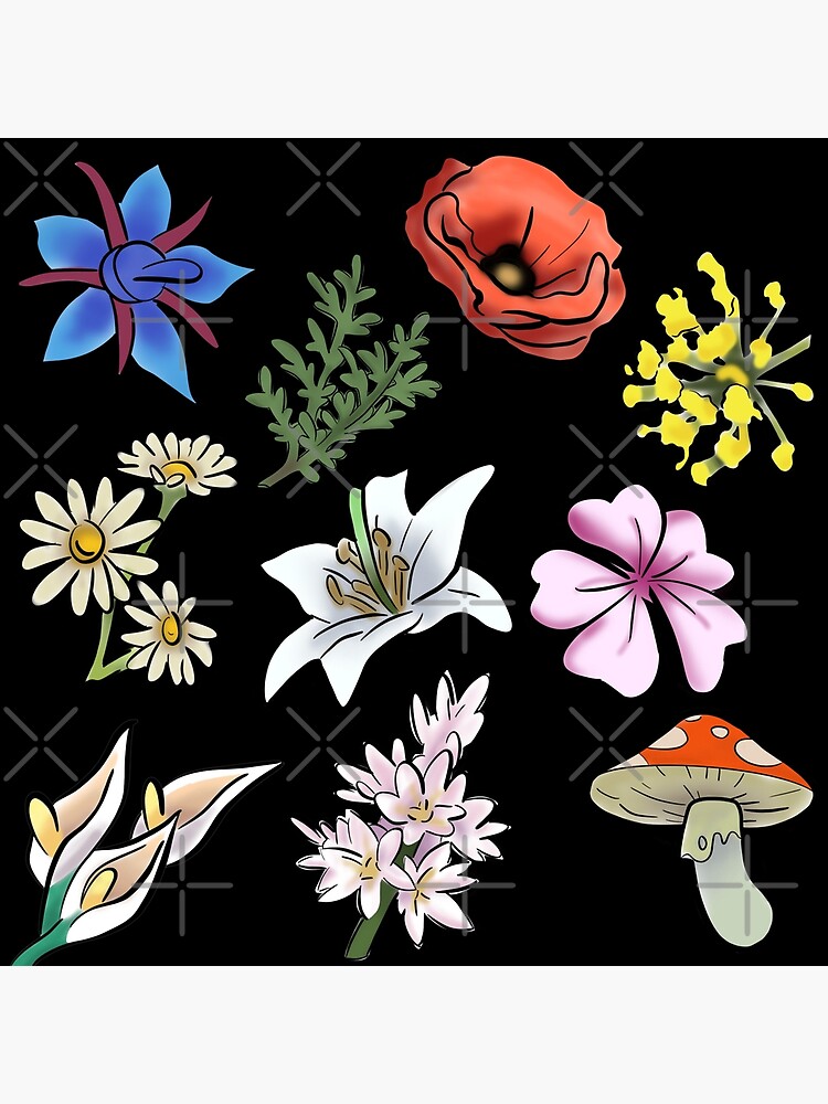 "SpiritFarer Spirit Flower Pack" Poster by QuinnRamsay Redbubble