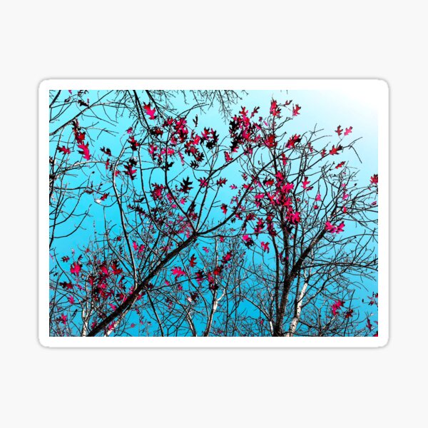 Sharon's Red Oak Sticker