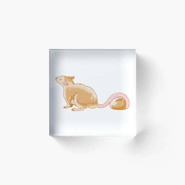 GemRat - Citrine Acrylic Block