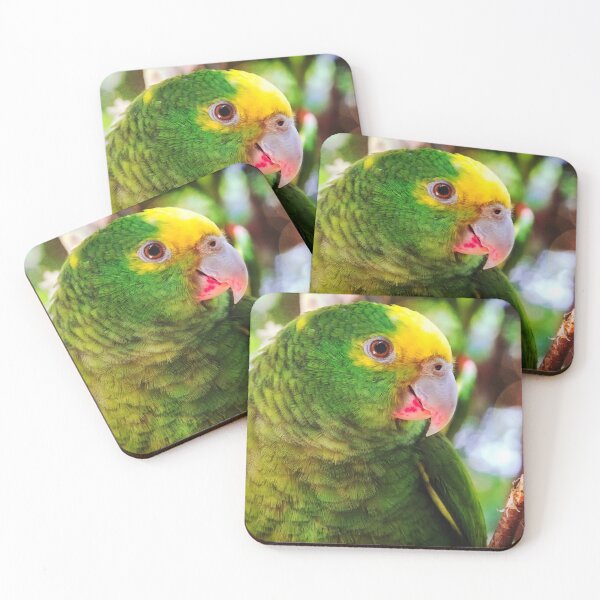 Item preview, Green parrot Mexico designed and sold by Travelways.