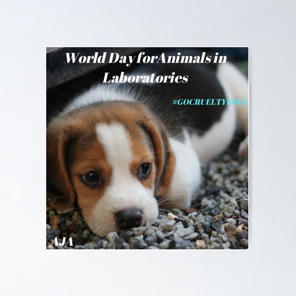 Item preview, Go Cruelty Free  designed and sold by 7AJA.