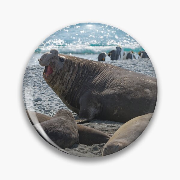 Item preview, The Beachmaster designed and sold by Mark Prior.