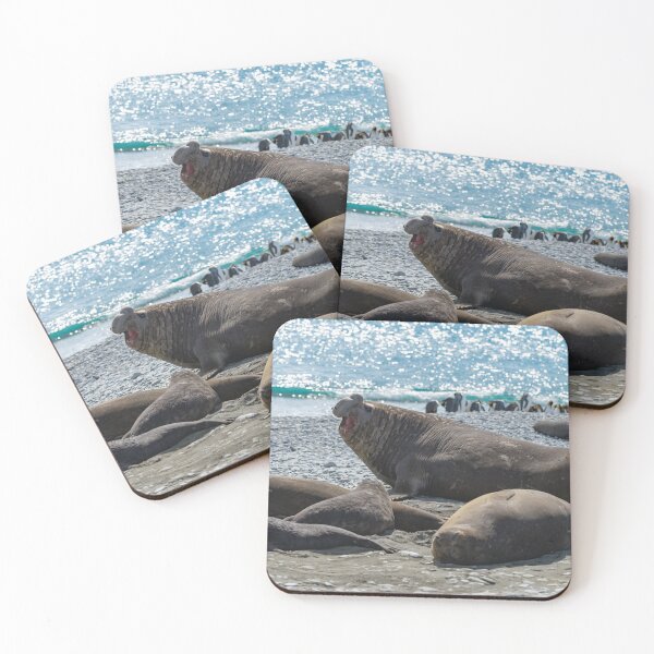 Item preview, The Beachmaster designed and sold by Mark Prior.