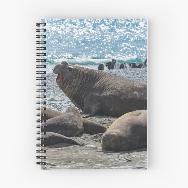 Item preview, The Beachmaster designed and sold by Mark Prior.