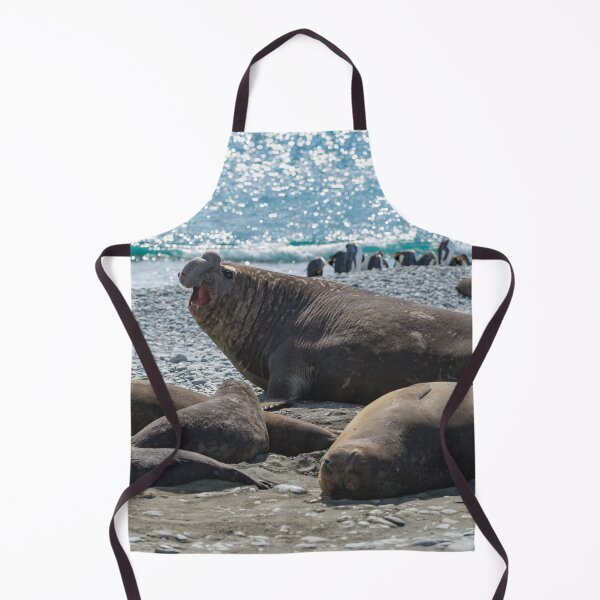 Item preview, The Beachmaster designed and sold by Mark Prior.