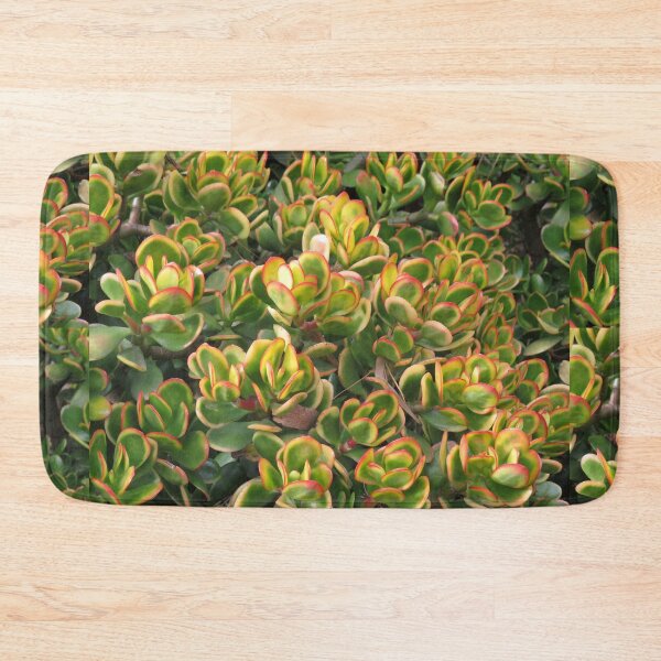 Item preview, Colourful crassula ovata designed and sold by greentiger1.