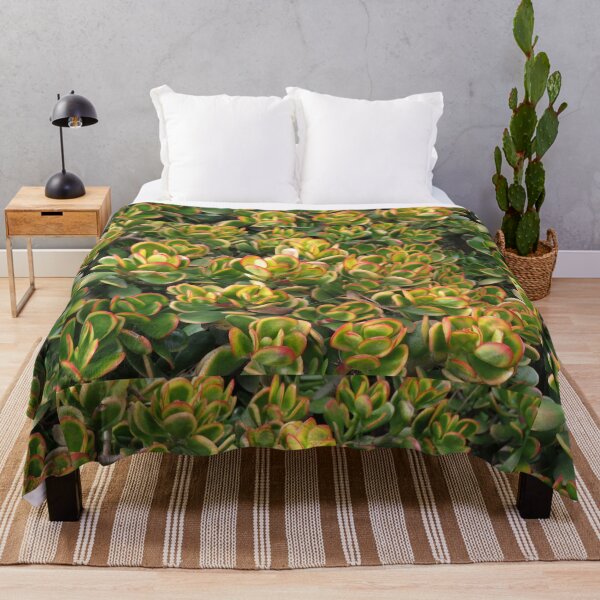 Item preview, Colourful crassula ovata designed and sold by greentiger1.