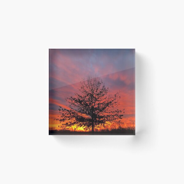 Item preview, Sunset Behind Tree designed and sold by Susan-Miller.