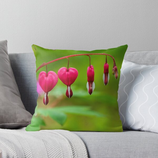 Item preview, Bleeding Hearts - Lamprocapnos-spectabilis designed and sold by Dorset Girl.