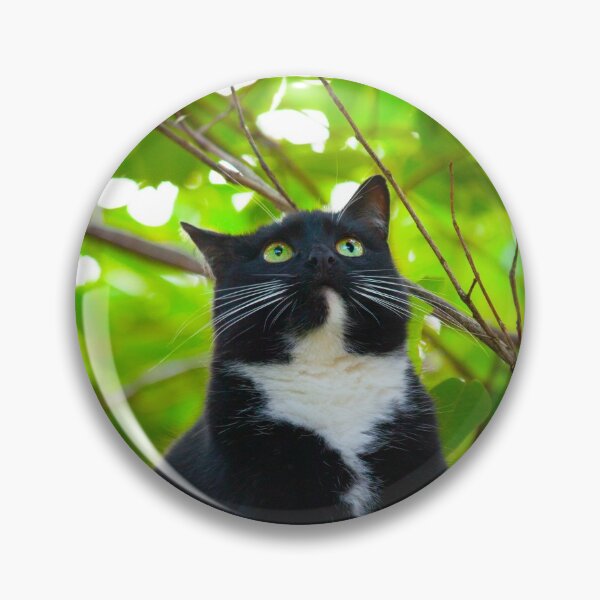 Item preview, Nature is Wow (feat. Tarka) designed and sold by Tony-Bedford.