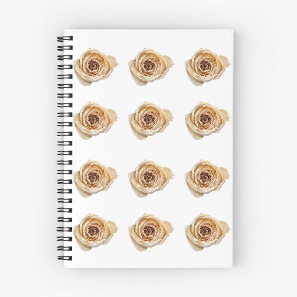 Item preview, Dried White Flowers Sticker Pack designed and sold by Crafty-Mornings.