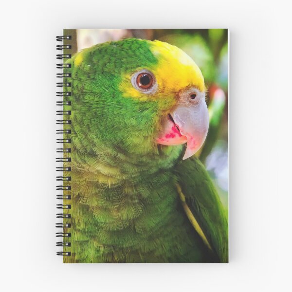 Item preview, Green parrot Mexico designed and sold by Travelways.