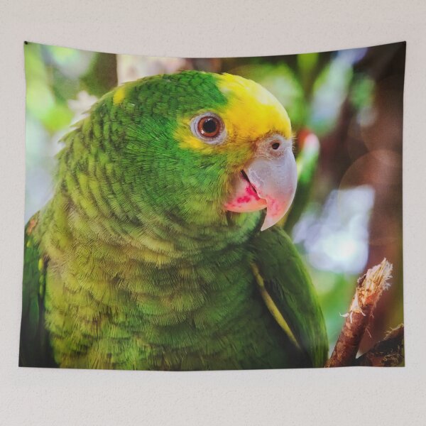Item preview, Green parrot Mexico designed and sold by Travelways.