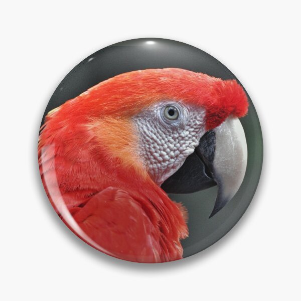 Item preview, Parrot designed and sold by Savannah Gibbs.