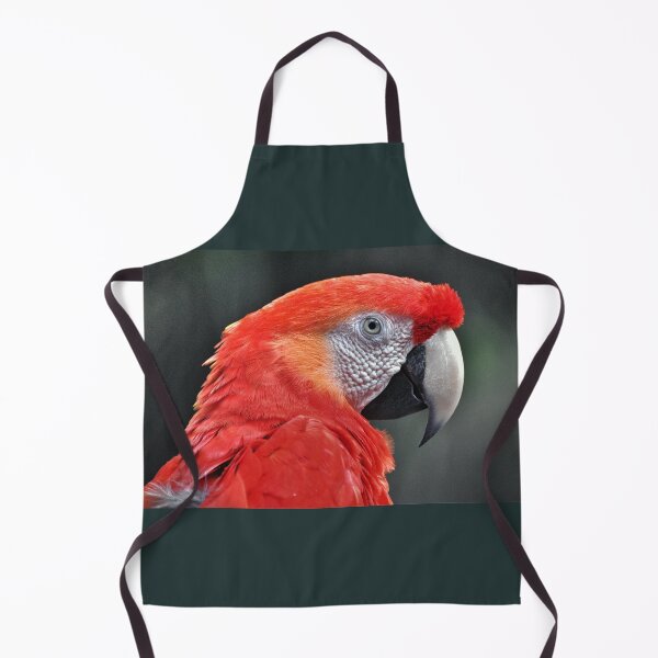Item preview, Parrot designed and sold by Savannah Gibbs.