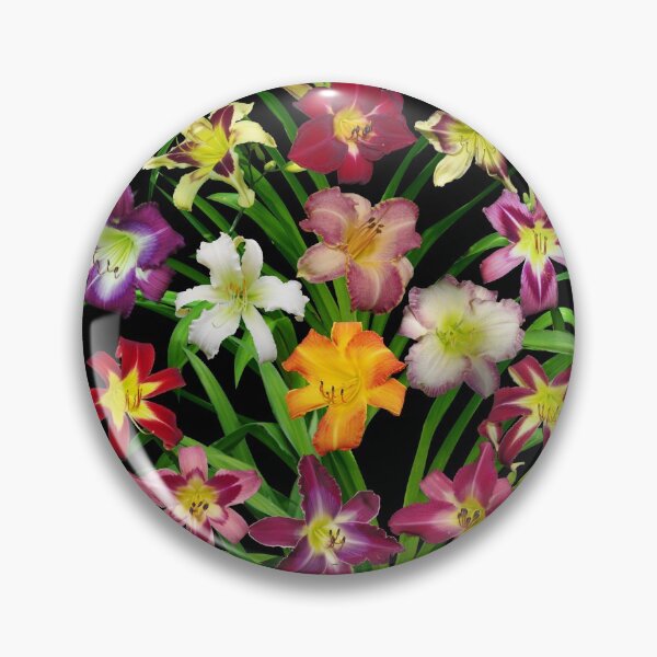 Item preview, Display of Daylilies II designed and sold by rvjames.