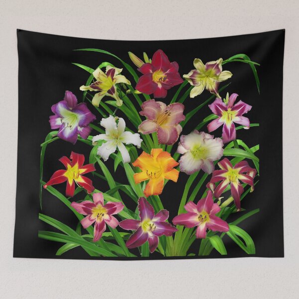 Item preview, Display of Daylilies II designed and sold by rvjames.