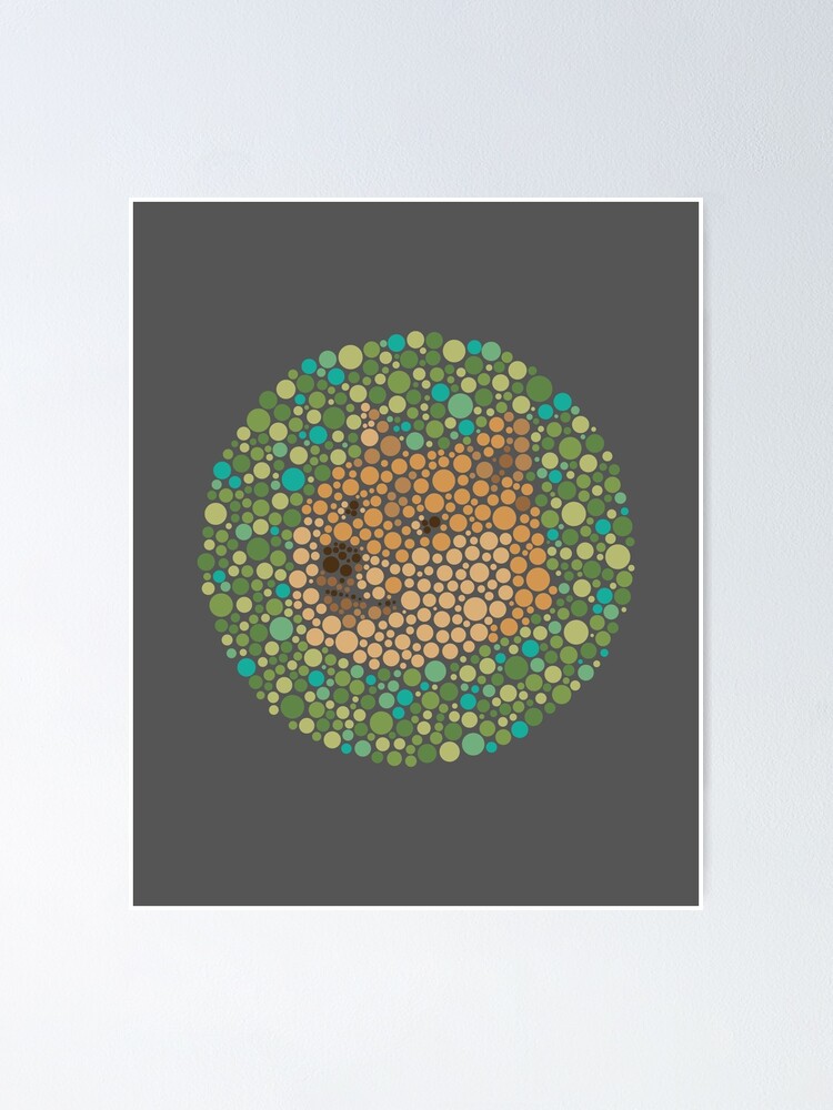 Such Color Blind Wow Doge See Prints Posters Poster
