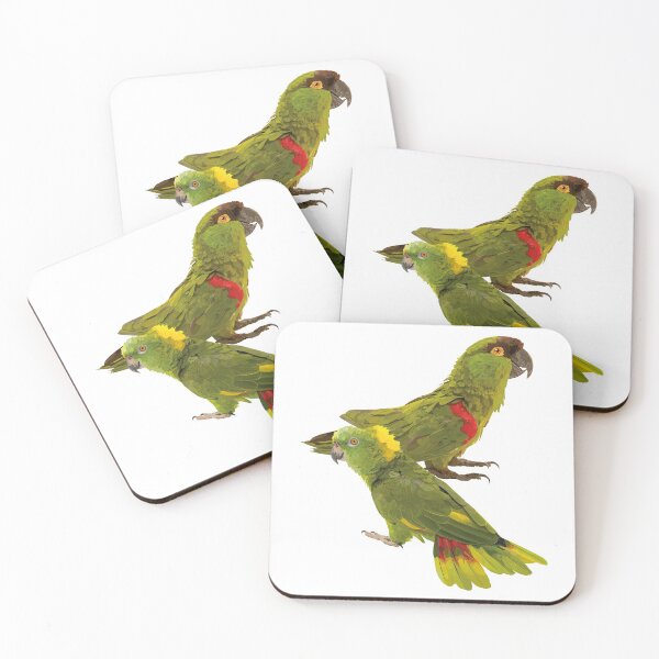 Item preview, Parakeet and parrot designed and sold by obscurite.