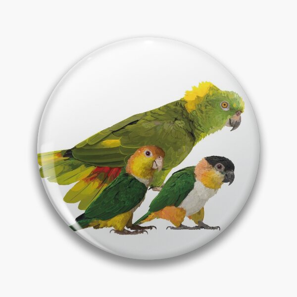 Item preview, Parrots designed and sold by obscurite.