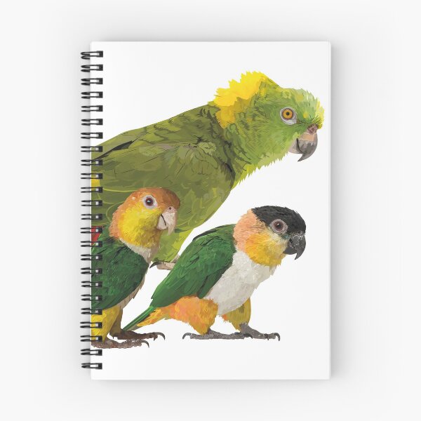Item preview, Parrots designed and sold by obscurite.