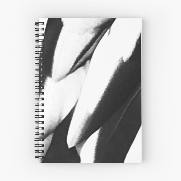 Item preview, black wihite bird wing pattern photograph australian image designed and sold by MelbourneGarden.