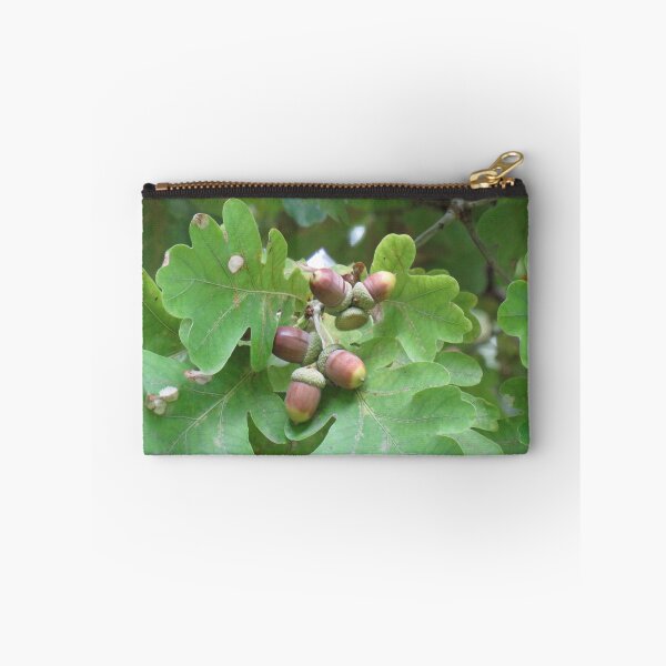 Item preview, Acorns designed and sold by greentiger1.
