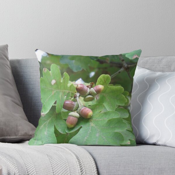 Item preview, Acorns designed and sold by greentiger1.