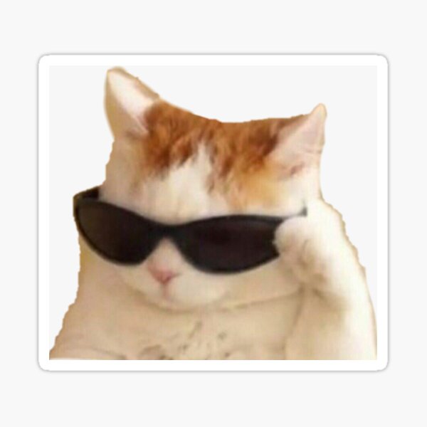 adyacente Subvención Haz lo mejor que pueda Pegatina «gato con gafas de sol» de Positivxvibes | Redbubble