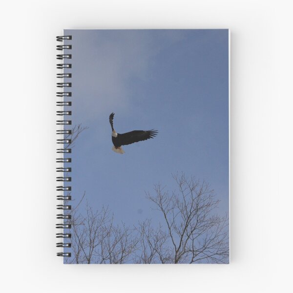 Item preview, Swooping designed and sold by kry.ative.