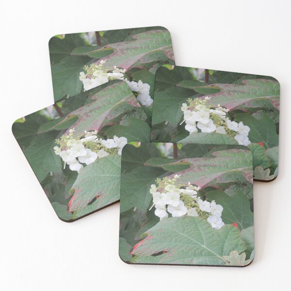 Item preview, Oak leaf hydrangea flowers designed and sold by greentiger1.