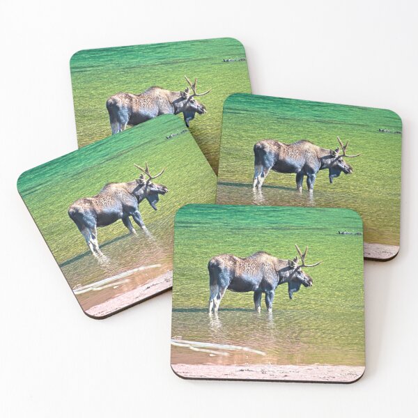 Item preview, Moose, Colorado designed and sold by littlecolor.