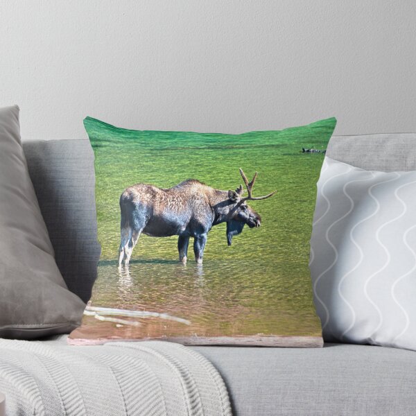 Item preview, Moose, Colorado designed and sold by littlecolor.