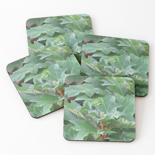 Item preview, Oak leaf hydrangea foliage designed and sold by greentiger1.
