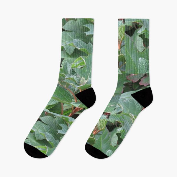 Item preview, Oak leaf hydrangea foliage designed and sold by greentiger1.