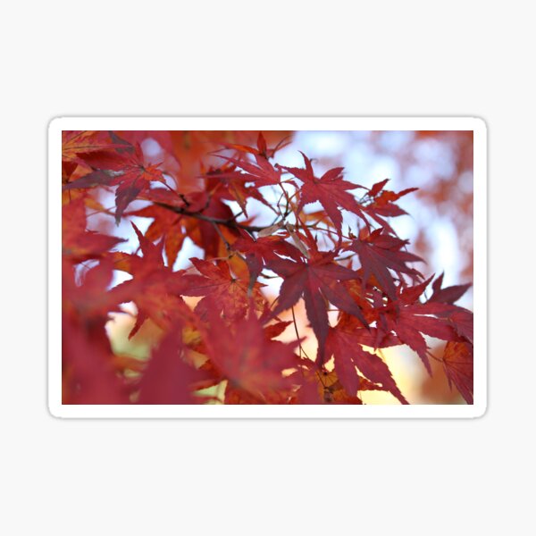 Koku Koen Autumn #2 Sticker