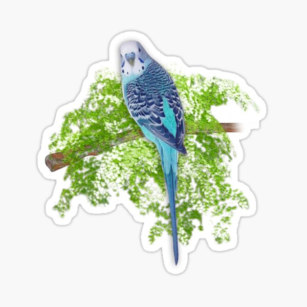 Blue Budgie on Green Sticker