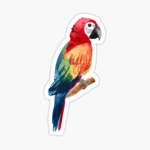 Bird Stickers Transparent Colorful Bird Stickers Pet Vintage - Temu