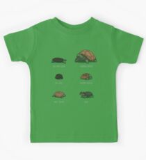 Know Your Turtles Kids Tee