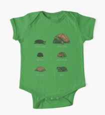 Know Your Turtles One Piece - Short Sleeve