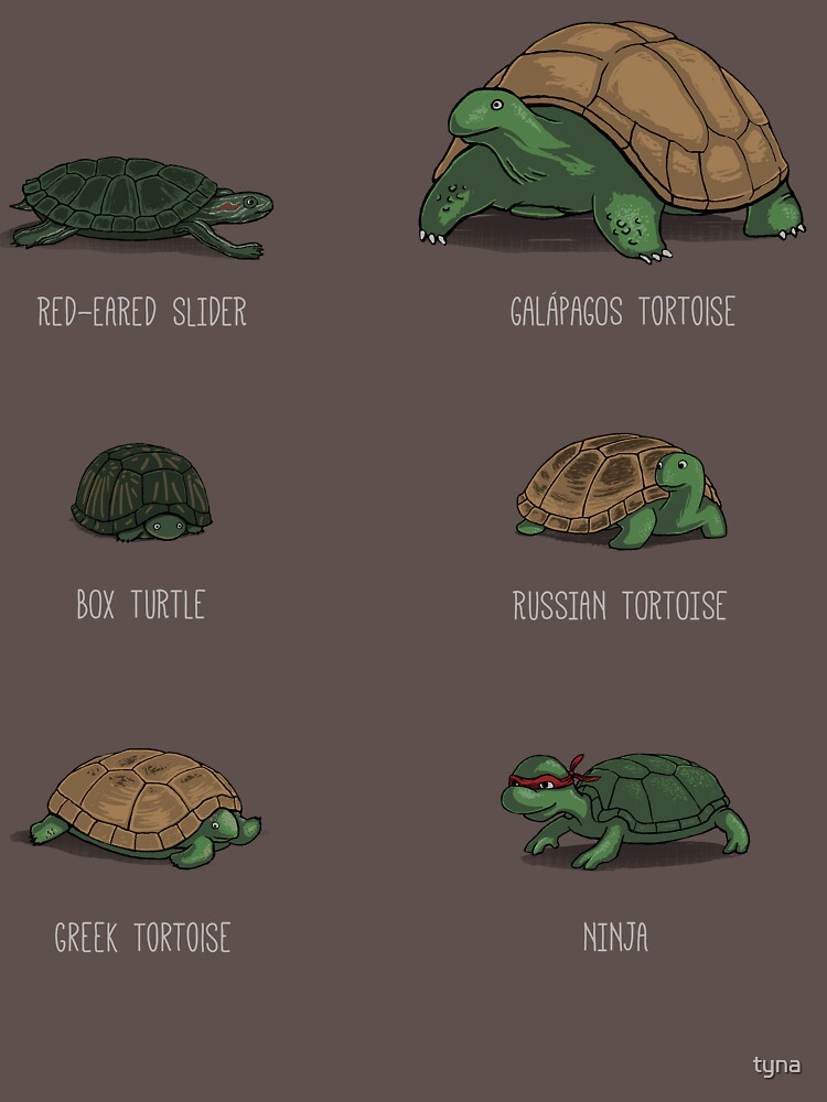 Know Your Turtles by tyna